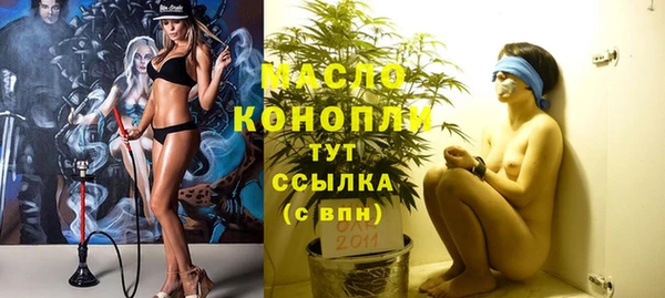 тгк Абаза