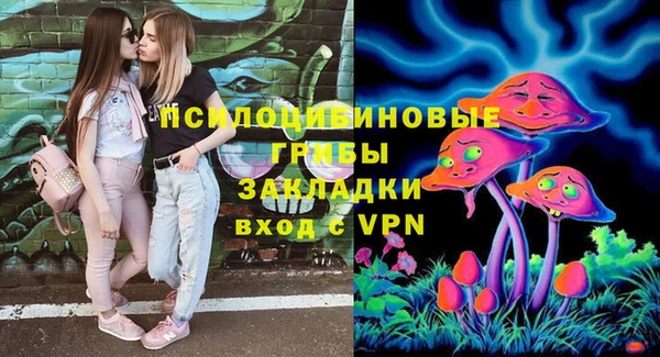 твердый Алзамай