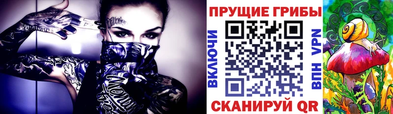 Галлюциногенные грибы прущие грибы МЕГА онион мориарти как зайти Пугачёв